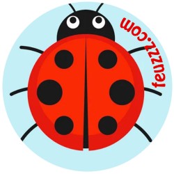 Doming Coccinelle