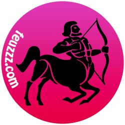 Doming signe astrologique Sagittaire